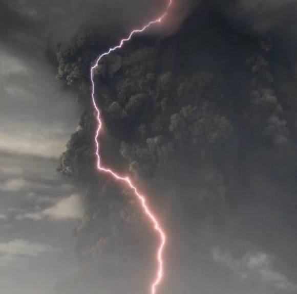 Meet your Posher, Anika - Picture 1 of 1